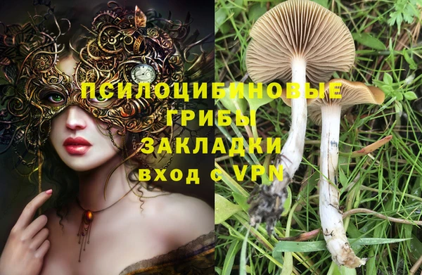 круглые Алексеевка