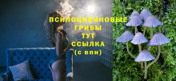 ECSTASY Алексин