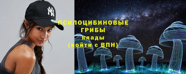 круглые Алексеевка